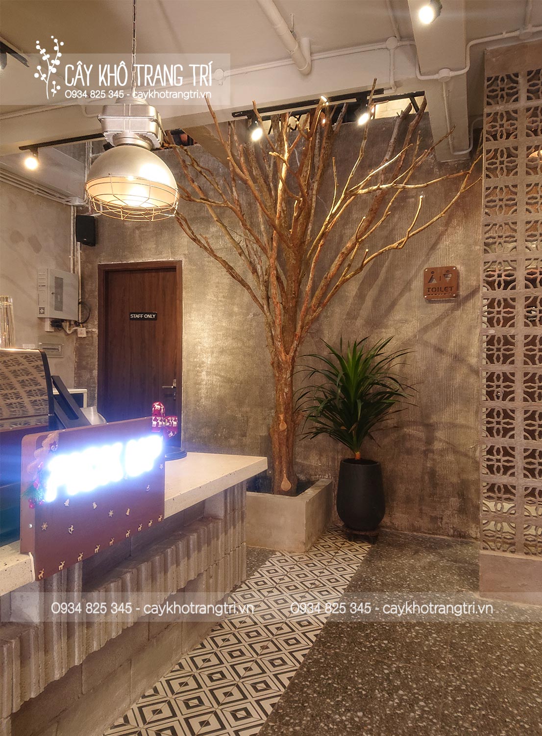 Cây khô trang trí quán cà phê - BÁN CÂY KHÔ,CÂY KHÔ TRANG TRÍ Cây khô trang trí quán cà phê - BÁN CÂY KHÔ,CÂY KHÔ TRANG TRÍ