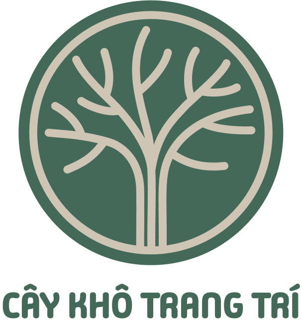 BÁN CÂY KHÔ,CÂY KHÔ TRANG TRÍ